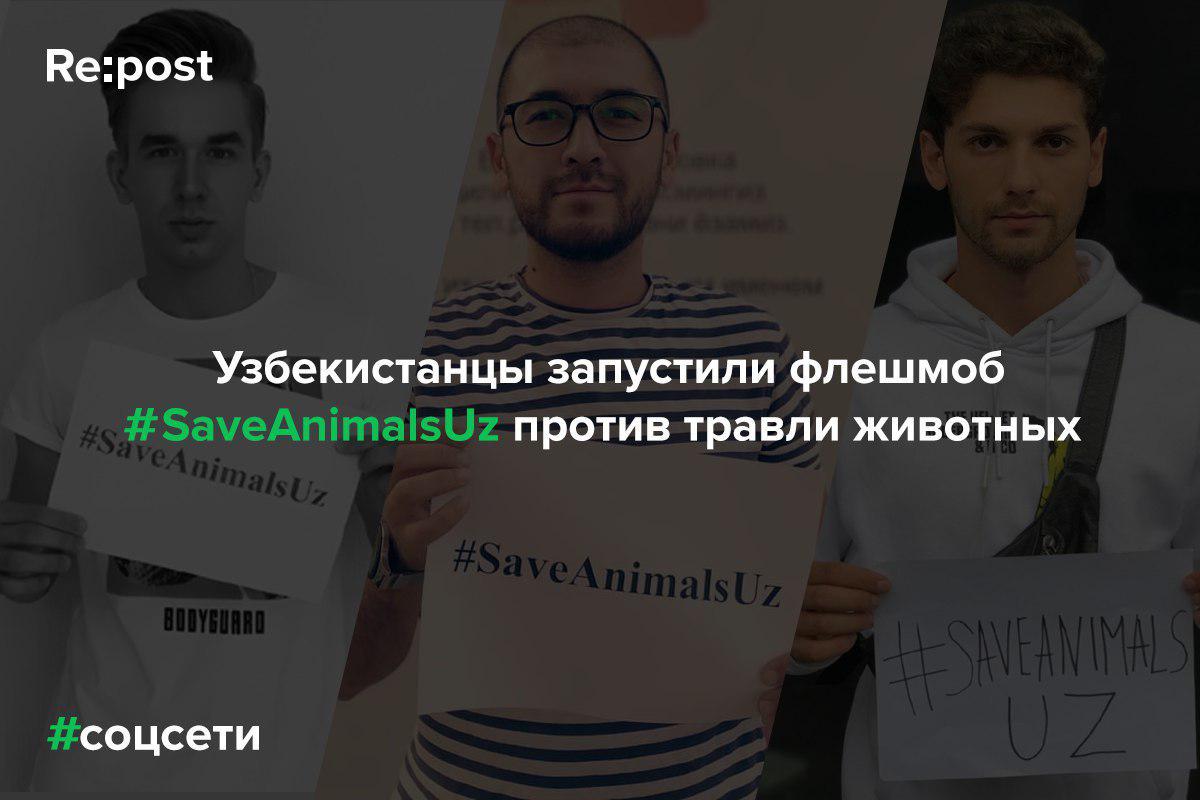 Узбекистанцы запустили флешмоб в соцсетях #SaveAnimalsUz против травли животных