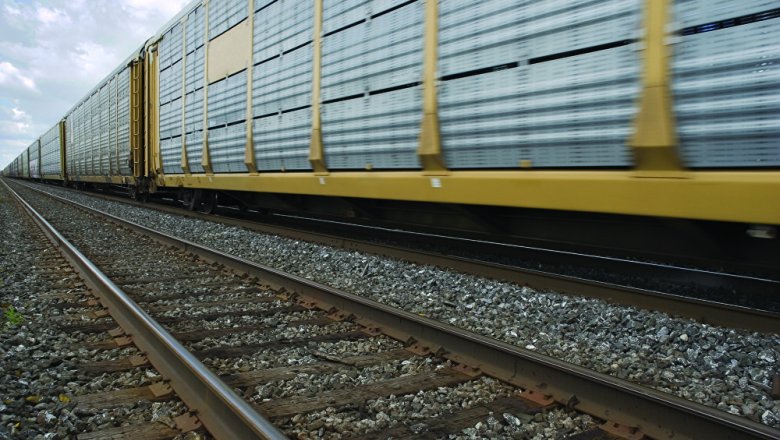 B Ленинградской области товарный поезд сбил насмерть узбекистанца 