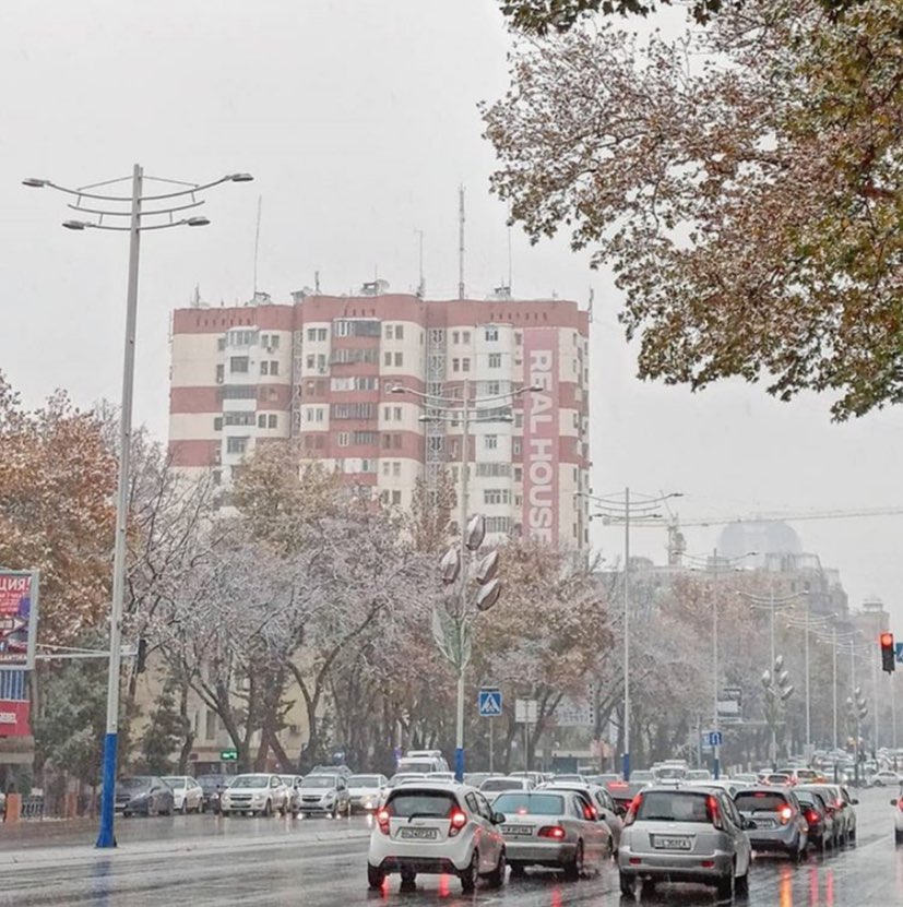 Синоптики предсказали узбекистанцам погоду на начало декабря 