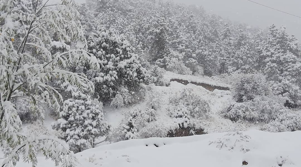 Узгидромет предупредил узбекистанцев об ухудшении погоды в горах