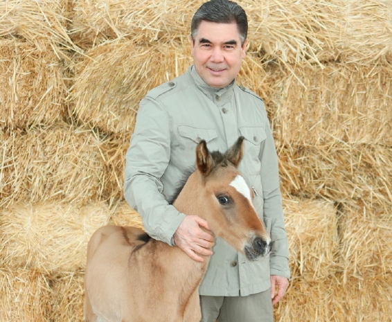 В Туркменистане новое село назвали в честь любимого коня Аркадага