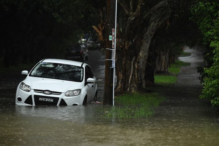 Дождь на востоке Австралии потушил горевший 74 дня лес и вызвал наводнение