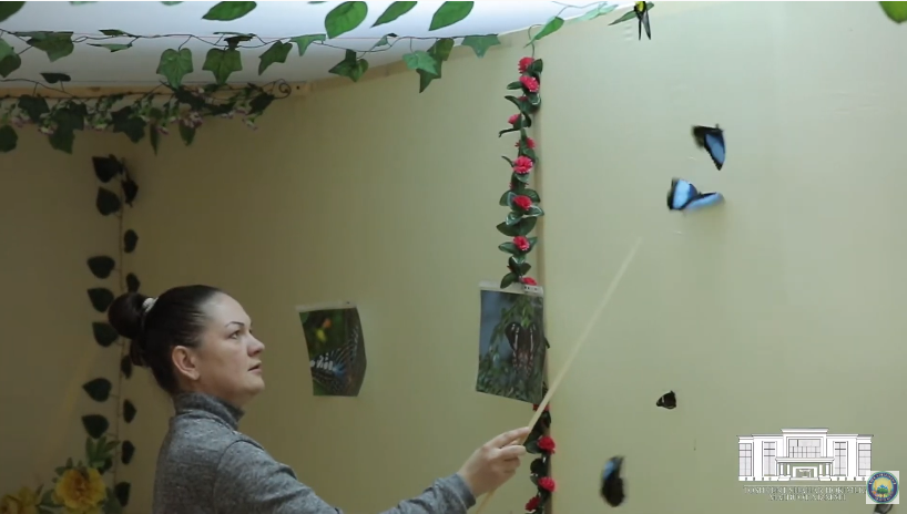 В Ташкенте открылась выставка живых тропических бабочек