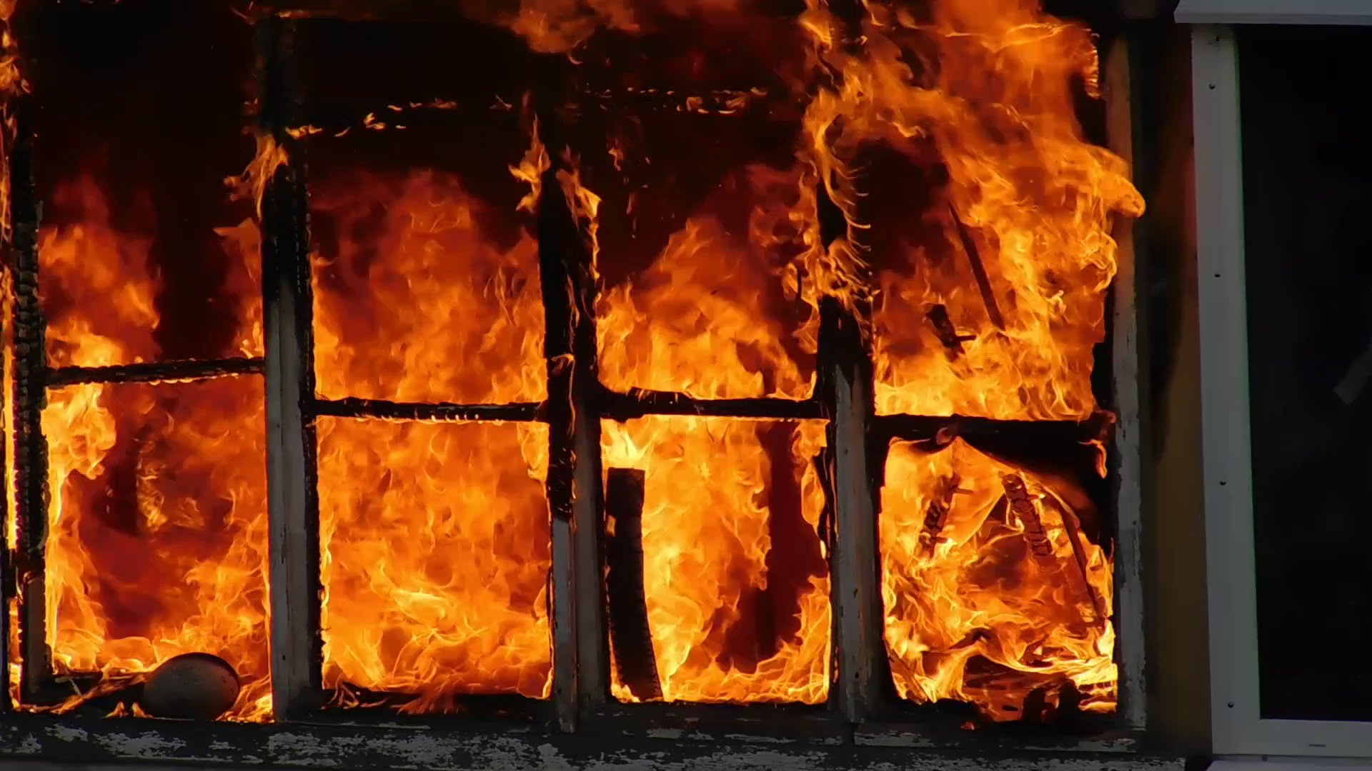 Шестеро человек сгорели при пожаре в Сырдарьинской области