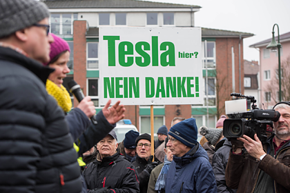 Tesla разрешили вырубить лес в Европе ради скандального завода