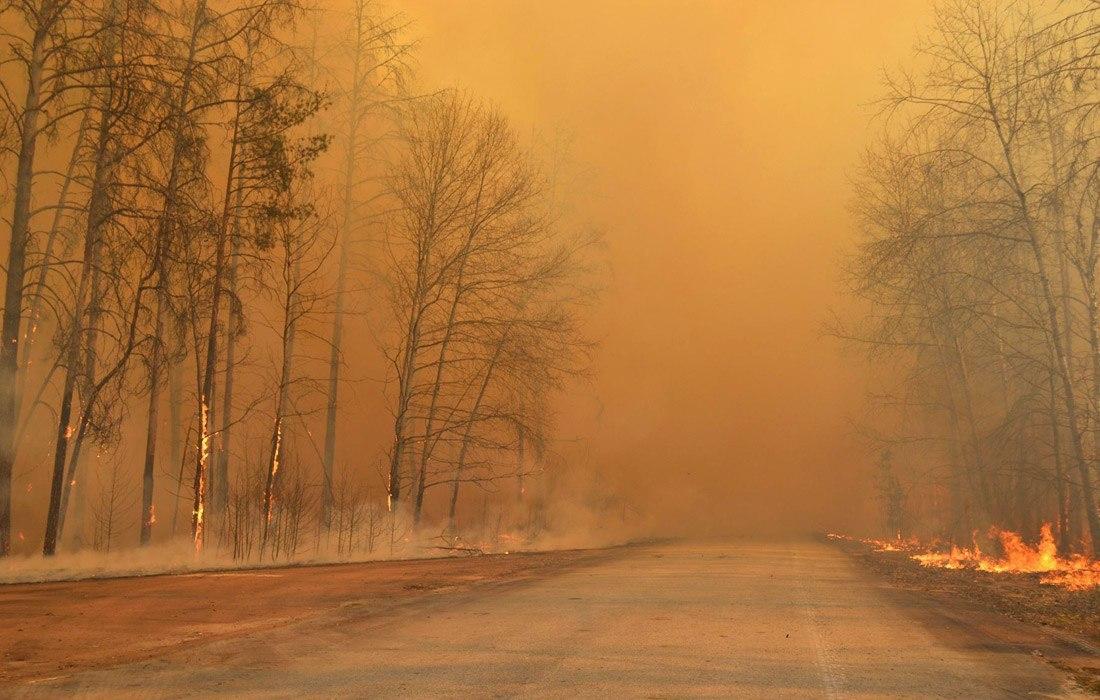 Лесные пожары на территории Чернобыльской АЭС