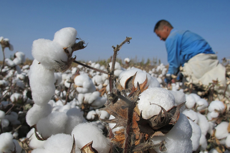 Министр труда призвал правозащитные организации отменить бойкот узбекского текстиля