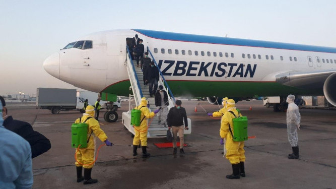 Опубликован график чартерных рейсов для возвращения узбекистанцев