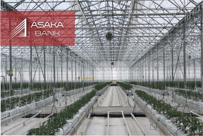Банк «Асака» вкладывает в экономическое развитие страны: представлен тепличный комплекс под управлением искусственного интеллекта