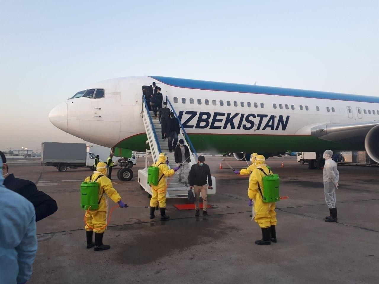  Опубликован график рейсов для возвращения узбекистанцев из-за рубежа