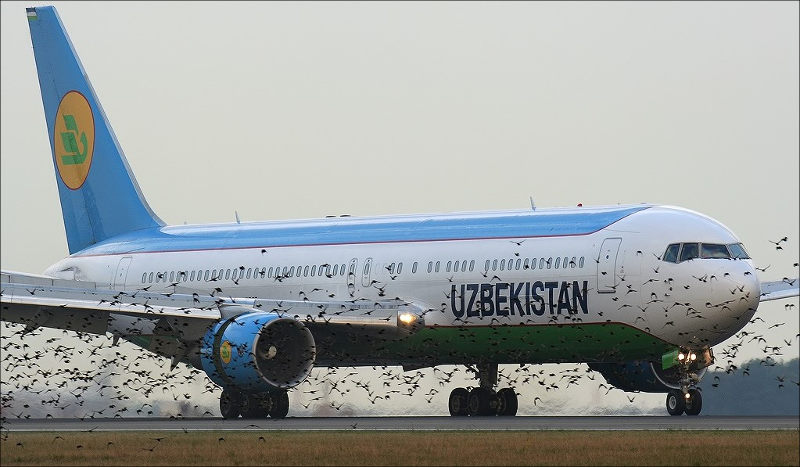 Узбекистан задумался о возобновлении международных авиарейсов