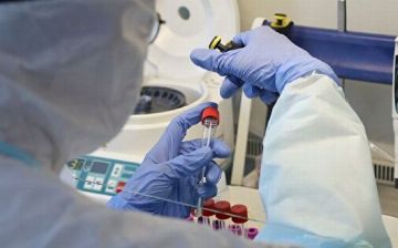 Узбекские и израильские ученые планируют совместную разработку препарата против коронавируса 
