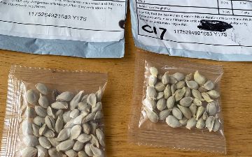 Жители США начали получать «загадочные» семена из Узбекистана