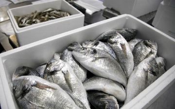 Узбекистан примет меры по поддержке и развитию рыбной отрасли