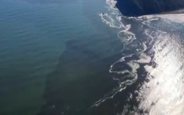 На Камчатке зафиксировали гигантское нефтяное пятно в океане, из-за которого погибают тысячи морских животных 