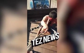 «Привязали к трактору веревкой и оставили привязанным к дереву»: TezNews опубликовал видео и детали жуткого самосуда над мужчиной в Навоийской области