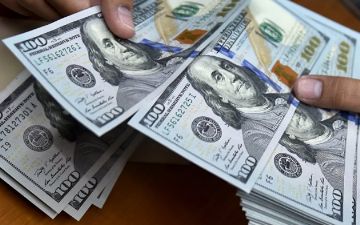 Курс доллара в Узбекистане растет пятую неделю подряд