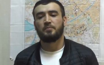 В Петербурге нелегал из Узбекистана жестко избил и ограбил повара сетевого ресторана 