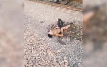 В Ташкенте парня ударило током в 27 тысяч вольт при попытке сделать селфи на поезде