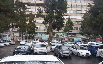 Ташкентские водители рассказали о проблемах с парковкой