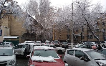 Узбекистанцы попросили создать больше парковочных мест