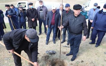 В Узбекистане министр поддержки махалли и семьи провёл мастер-класс по посадке саженцев 
