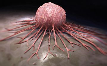 Учёные узнали, что делает здоровые клетки раковыми