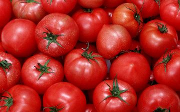 Узбекистан ужесточит контроль качества поставляемых томатов в Россию<br>