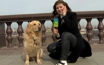 Во время прямого эфира на российском ТВ собака вырвала из рук ведущей микрофон&nbsp;