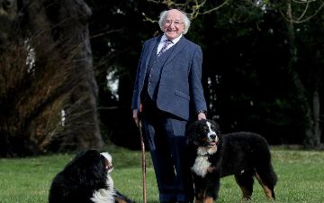 В Ирландии щенок президента пытался поиграть с хозяином, пока он выступал с речью по поводу смерти актера 