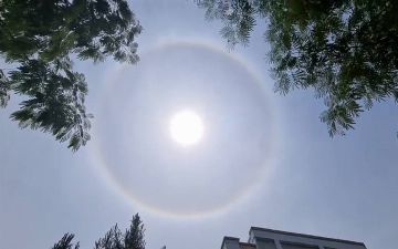 Узбекистанцы заметили вокруг солнца светящийся круг - видео