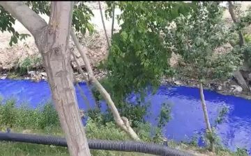 Экологи решили проблему с цветной водой в каналах Самарканда