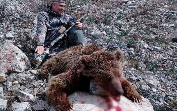 Российскому охотнику не разрешили застрелить второго медведя из Красной книги Узбекистана