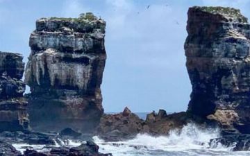 Знаменитая скала Арка Дарвина обрушилась на Галапагосах. Узнали, почему