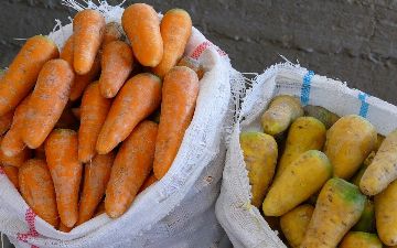 В Узбекистане значительно подорожала морковь