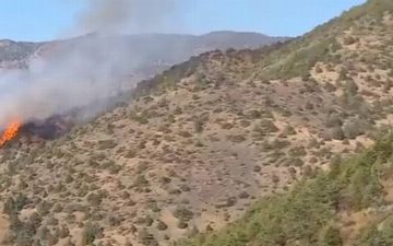В горах Заамина вновь вспыхнул пожар - видео