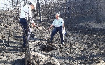 Пожары в зааминских горах находятся в центре внимания Экопартии Узбекистана