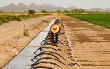 Американские власти впервые ограничат забор воды для 40 миллионов человек из-за небывалой засухи 