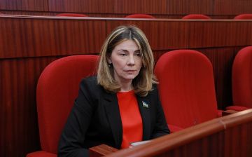 Журналист заявил, что русскоговорящая депутатка должна изъясняться на узбекском языке