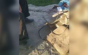 Житель Бухары собирался убивать дворовых животных с помощью устройства с оголенными проводами