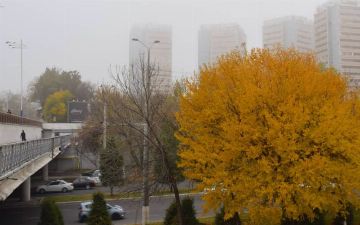 Дожди, заморозки и усиление ветра: синоптики рассказали о погоде в Узбекистане на ближайшие дни