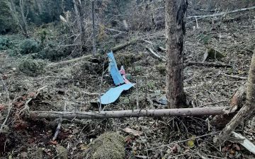 В России разбился легкомоторный самолет, все находящиеся на борту погибли