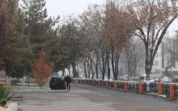 В Узбекистане местами ожидается понижение температуры до 10 градусов мороза&nbsp;
