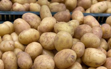 Узбекистан резко нарастил импорт картофеля, овощей и фруктов из Ирана: сумма поставок возросла до 30 млн долларов
