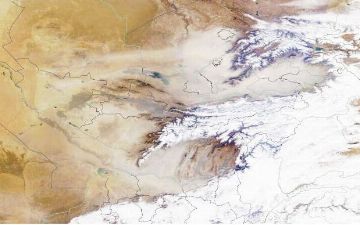 Синоптики поделились спутниковым снимком пыльных бурь в Узбекистане
