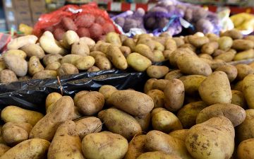Узбекистан&nbsp;усилит контроль за импортированным картофелем из двух мусульманских стран