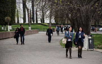 Всемирный банк рассказал, как бороться с безработицей среди молодежи в Узбекистане&nbsp;