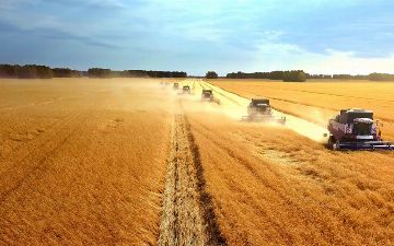 Хокимият Джизакской области решил выделить почти 1,9 млрд сумов на празднование Дня работников сельского хозяйства