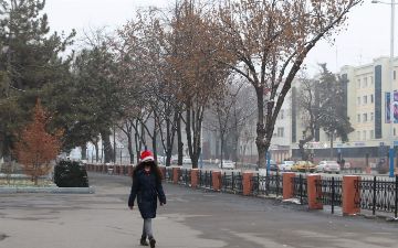 Какая погода ждет узбекистанцев до конца января&nbsp;