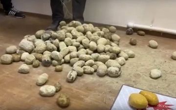 В Ташобласти остановили погрузку наркотиков, замаскированных под картошку